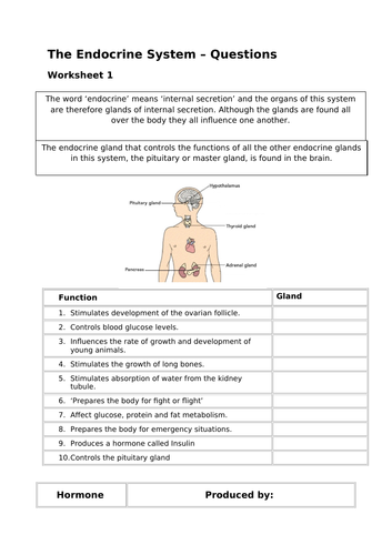 BTEC Level3 HSC A&P Endocrine System worksheet