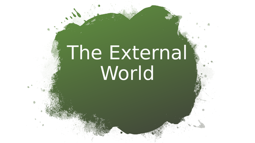 The External World
