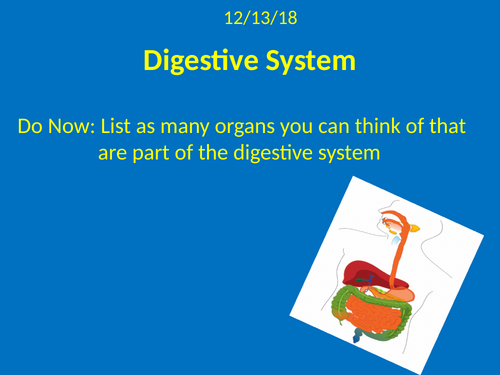 Digestive Sytsem