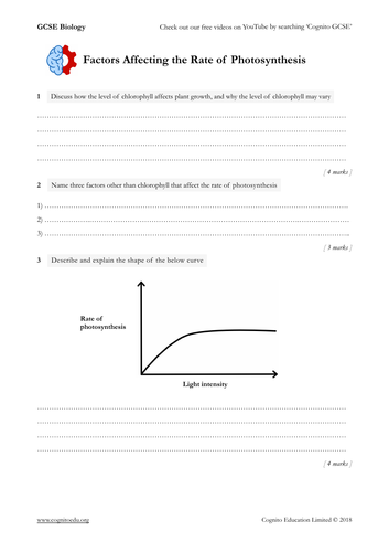 GCSE Biology (9-1) - Factors Affecting the Rate of Photosynthesis - Worksheet and Video