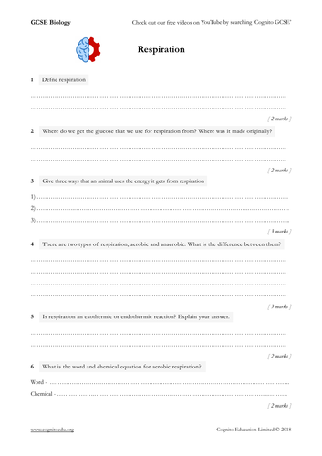 GCSE Biology (9-1) - Respiration - Worksheet and Video