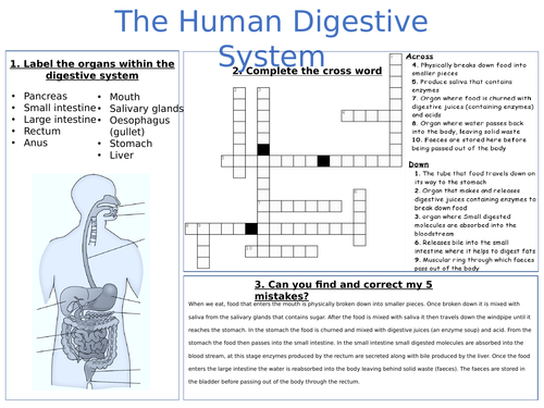 A3 digestion worksheet