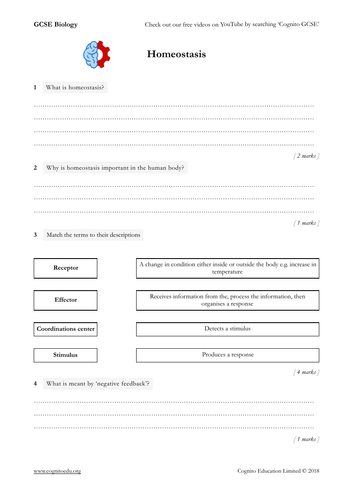 GCSE Biology (9-1) - Homeostasis - Worksheet and Video