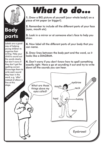 Homework body parts image