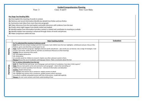 Year 3 - Comprehension - Weeks planning/ activity