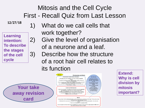 Chromosomes, Mitosis and the Cell Cycle AQA GCSE Biology New 9-1 Cell Biology