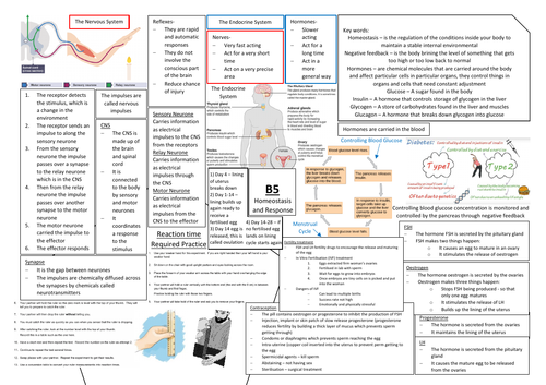Aqa Gcse Biology 9 1 B5 Double Science Revision Summary Sheets Teaching Resources 5257