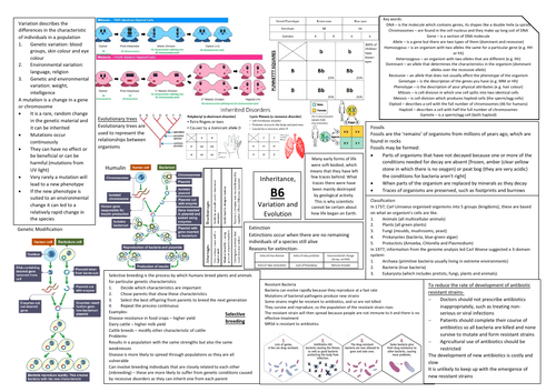 AQA GCSE Biology (9-1) B6 Triple Science Revision Summary Sheets