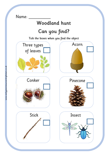 Woodland Hunt worksheet