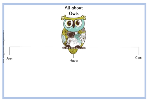 All about Owls worksheet