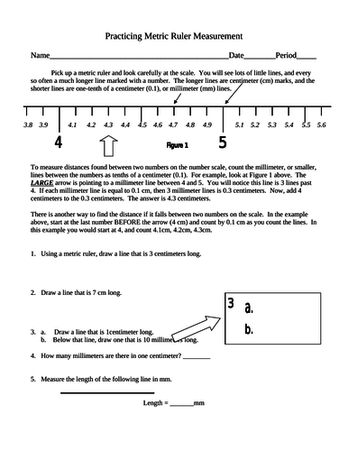 Measuring with a Metric Ruler Practice Worksheet | Teaching Resources
