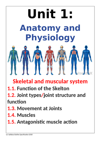 IGCSE PE (spec 2018) Posters