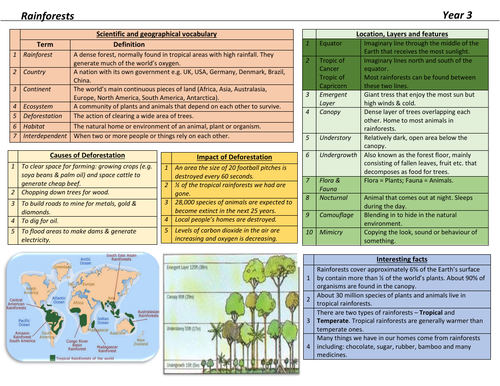 Rainforests Knowledge Organiser