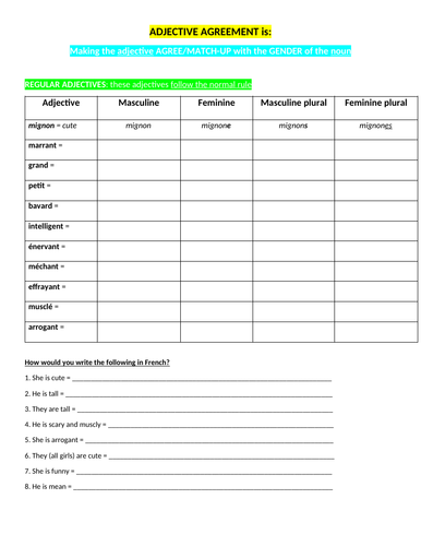 Adjective Agreement in French