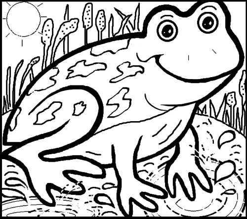 Frog Colouring Sheet | Teaching Resources