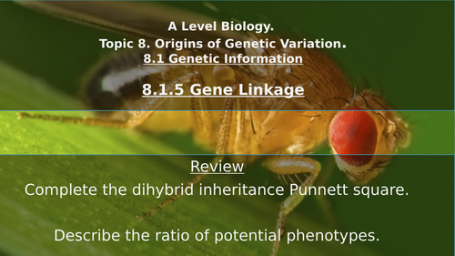 A Level Gene Linkage