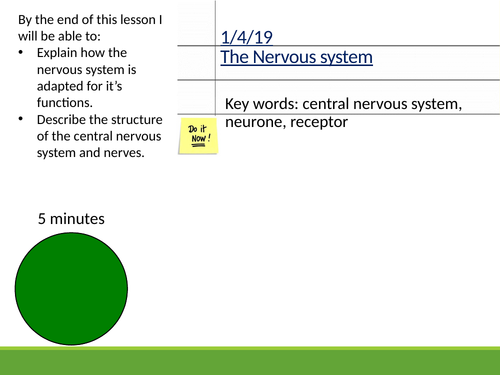 The nervous system