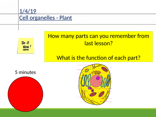 Applied Science BTEC - Plant and animal cells