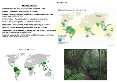 Rainforest Knowledge Organiser