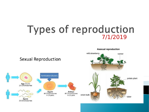 Types of reproduction
