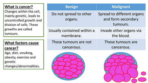 Cancer Activity - Biology GCSE