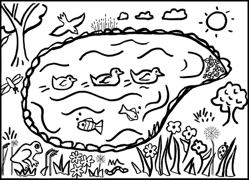 Pond Colouring Sheet | Teaching Resources