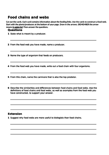 Food chains and webs worksheet activity