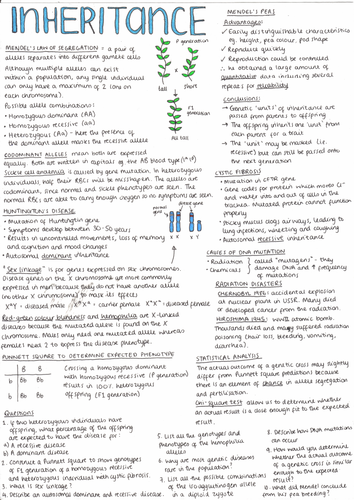 IB Biology Genetics: Inheritance