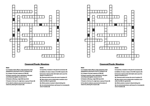DNA, RNA & Protein Synthesis Crosswords (A-level Biology)