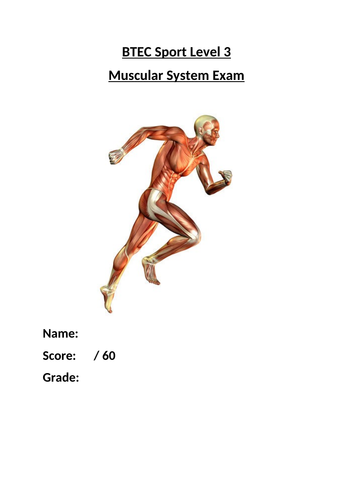 BTEC Sport Level 3 Muscular System Exam