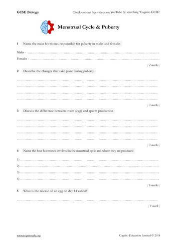 GCSE Biology (9-1) - Menstrual Cycle & Puberty - Worksheet & Video