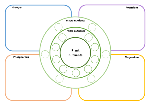 Plant nutrition worksheet | Teaching Resources