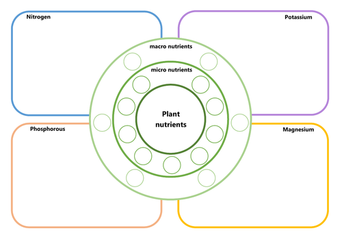 Plant nutrition worksheet