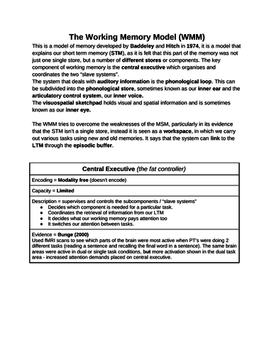 Alevel Psychology The working Memory Model explanation sheet
