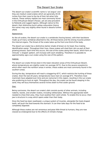 Year 6 modelled text for a variety of genres