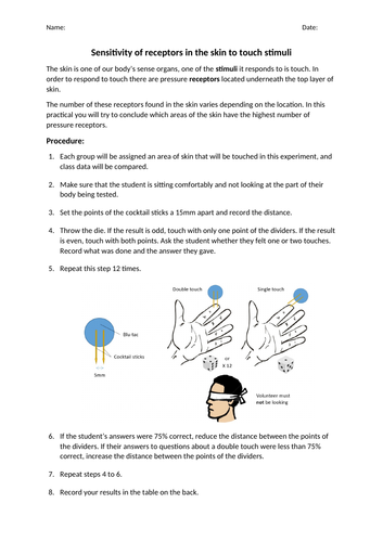 Sensitivity of receptors in the skin to touch stimuli practical