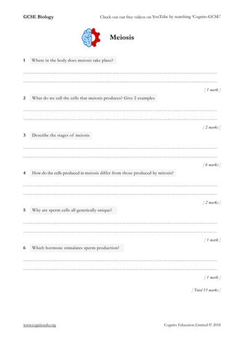 GCSE Biology (9-1) - Meiosis  - Worksheet & Video