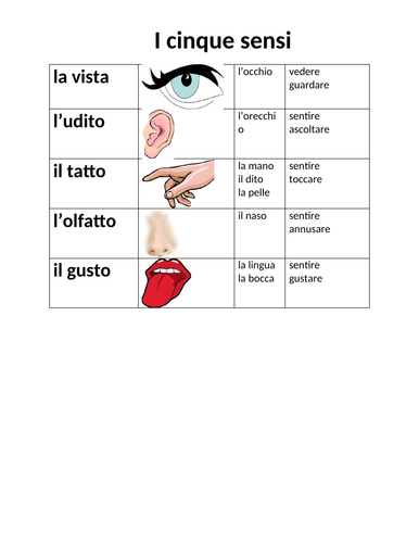 Cinque Sensi (Five Senses in Italian) Reference Sheet