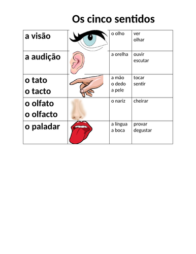 Cinco Sentidos (Five Senses in Portuguese) Reference Sheet | Teaching ...