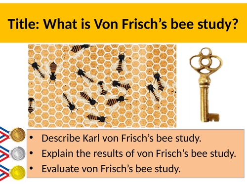 Von Frisch Bee Study - Language, Thought & Communication - AQA GCSE PSYCHOLOGY (9-1)