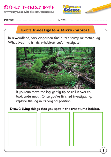 Let’s investigate a micro-habitat