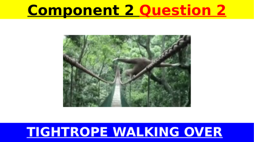 EDUQAS GCSE English Language 2018 Paper 2 Q2 - Tightrope Walking Niagra Falls  (+ examiner podcast)