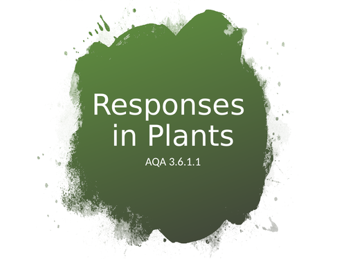 AQA A Level Biology -  Plant Responses