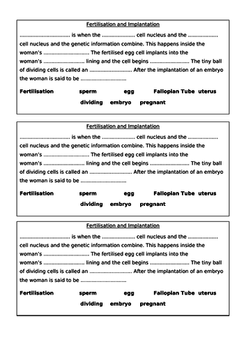 Fertilisation in humans KS3