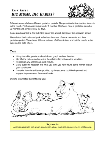 pregnancy and maternal lifestyle