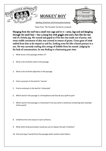 Monkey Boy - Victorian themed SPAG activity based on extract from The Peculiars