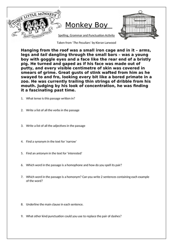 Monkey Boy - Editable SPAG activity based on extract from The Peculiars. Victorian themed