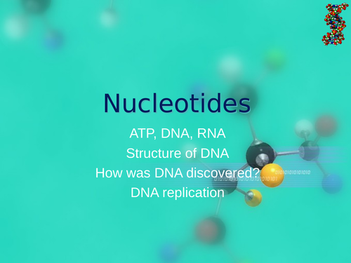 AQA A Level Biology - Nucleotides | Teaching Resources