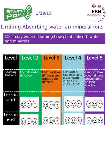 9-1 Edexcel Absorbing mineral ions