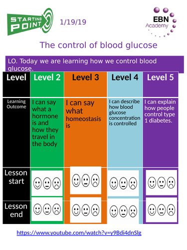 9-1 Edexcel Blood glucose